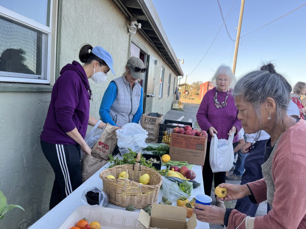 produce exchange at Sebastopol Grange