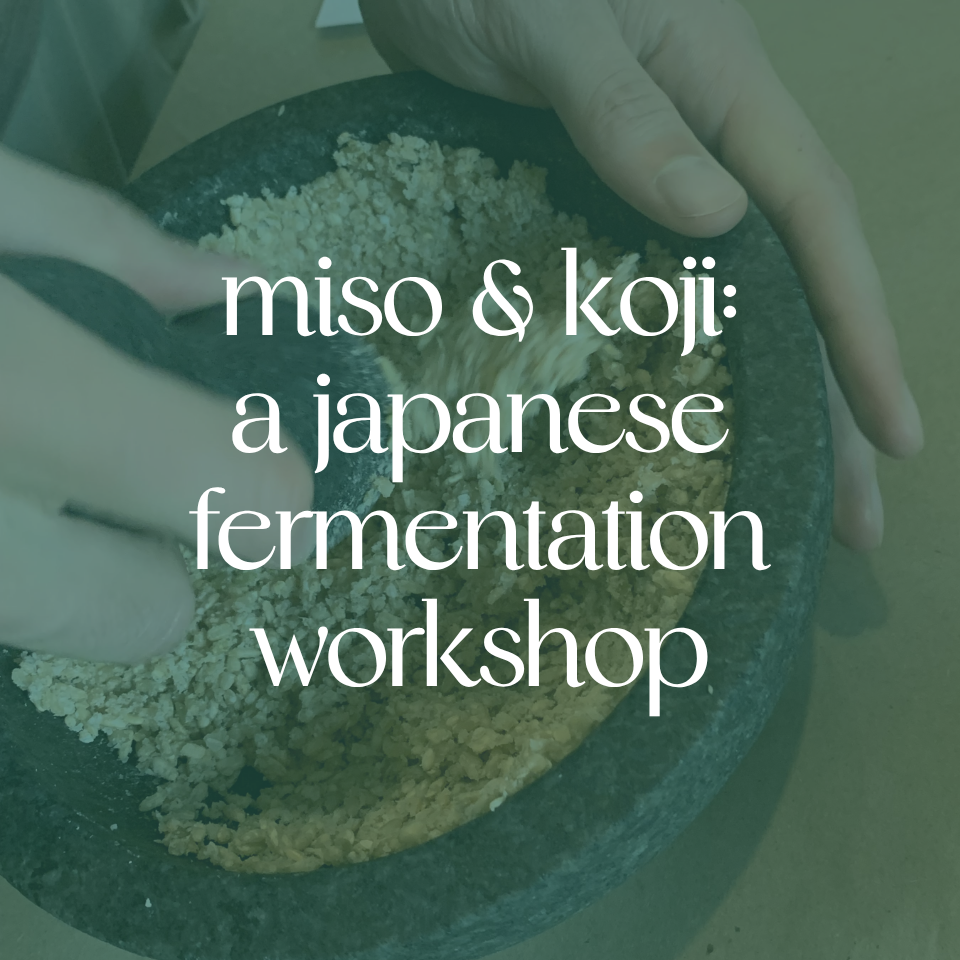 Miso-Koji-Japanese-Fermentation
